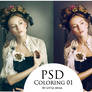 PSD Coloring 01