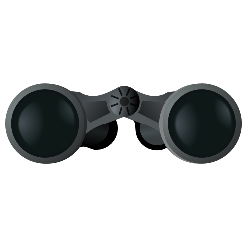 Black Binoculars