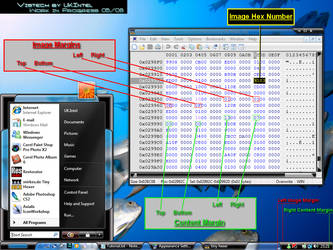 Vista Image + Content Margins
