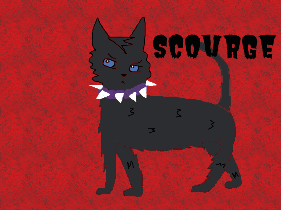 Scourge Warrior Cats Fanart by WarriorMoonCat on DeviantArt