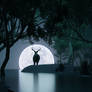 A Deer In The Moon Light