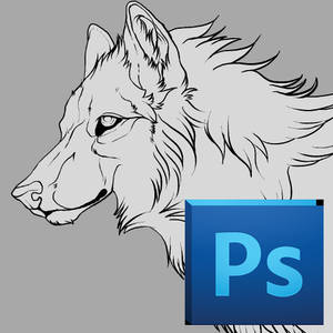 Arctic Wolf Lines: PSD