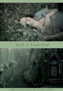 PSD 2 - Haunted