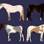 SOLD: Horse Adopts- DTA or Points