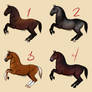 Levade Horse Adopts - 4/4