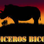 Rhinoceros