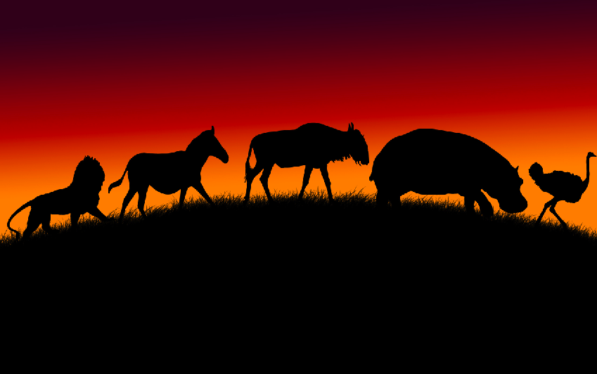 African Animals Wallpapers by Lukasiniho on DeviantArt African Animals Wallpapers by Lukasiniho on DeviantArt