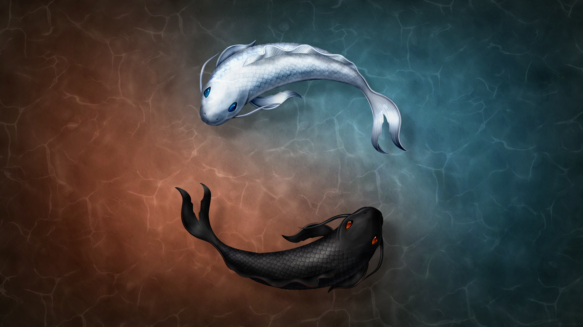 Koi by arrioch Koi by arrioch