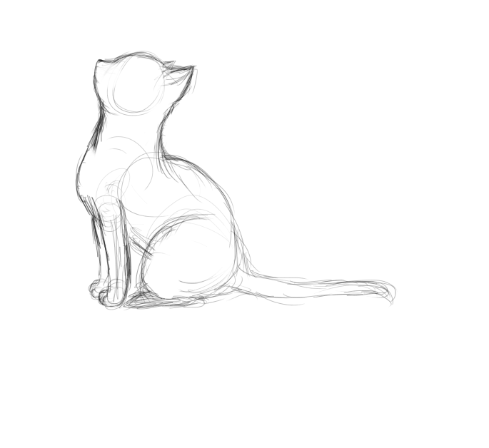 Кот Вид С Боку Рисунок