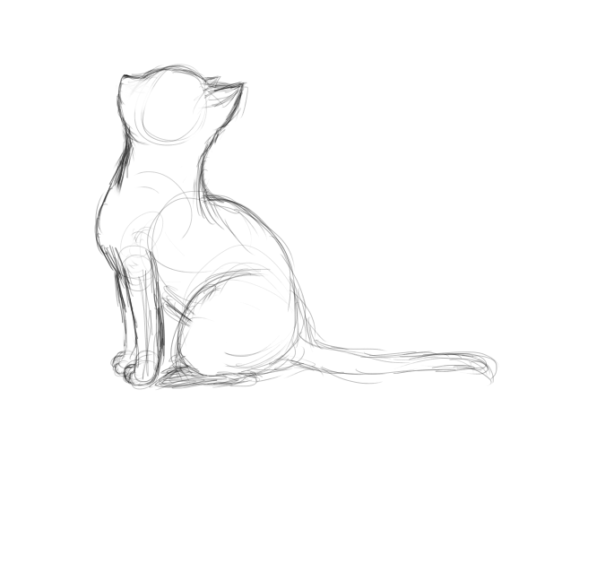 Easy To Draw Cat - Step By Step - Cool Drawing Idea