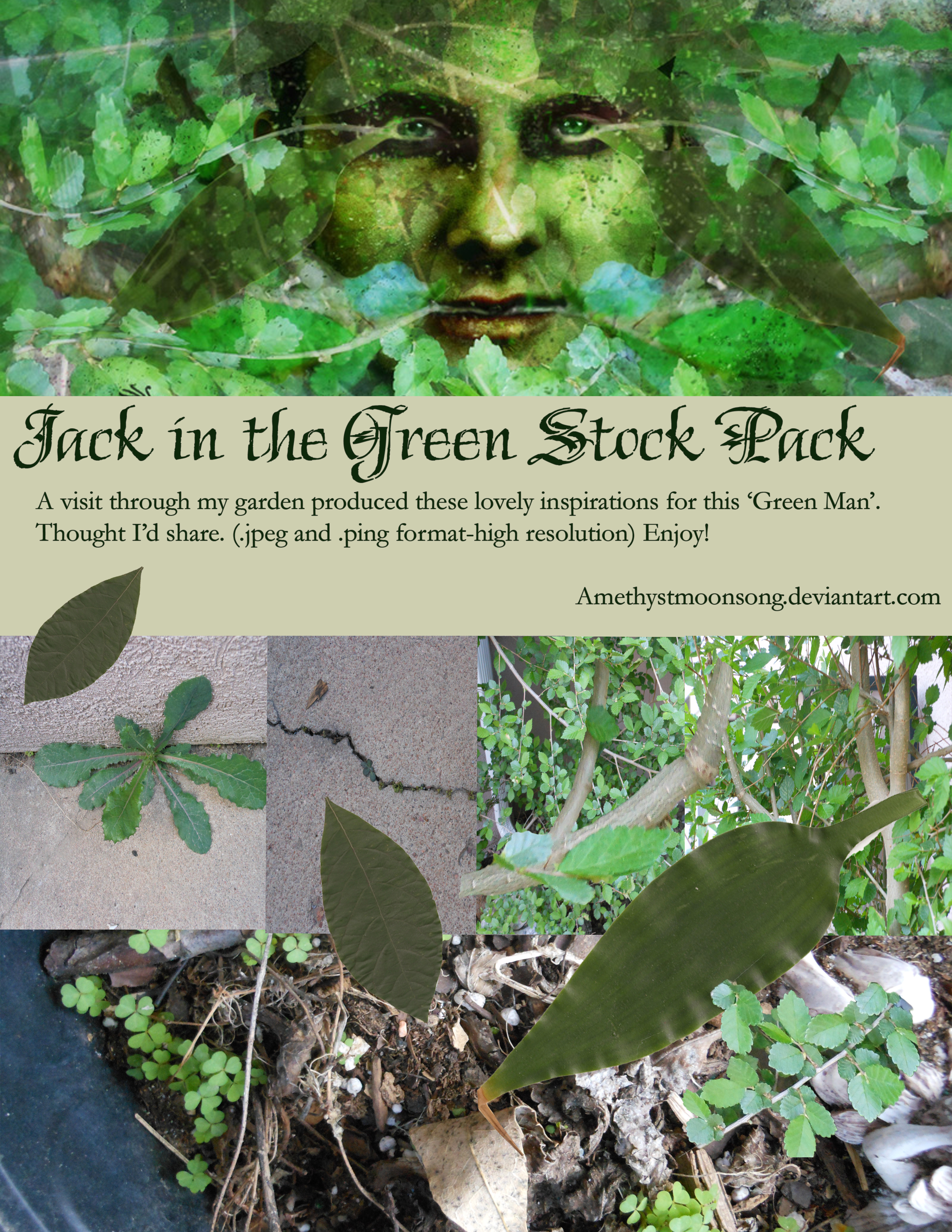 Jack in the Green Stock Pack