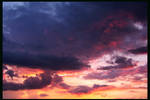 Faergade skyn by PinkPanthress