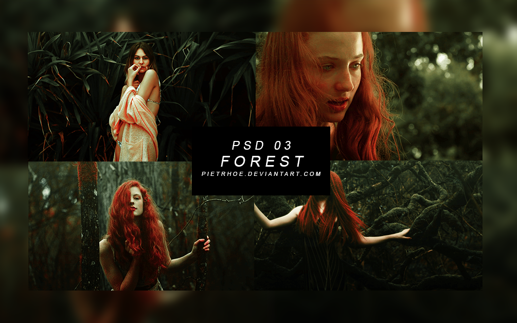 PSD 03 | FOREST by pietrhoe on DeviantArt