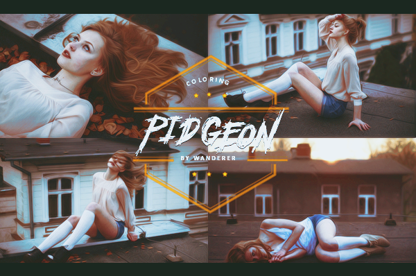 Pidgeon PSD Coloring
