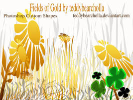 Fields of Gold