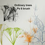 Ordinary Trees By Tbc