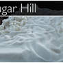 Snow Hill Stock (Sugar)