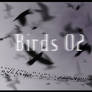 Birds 02