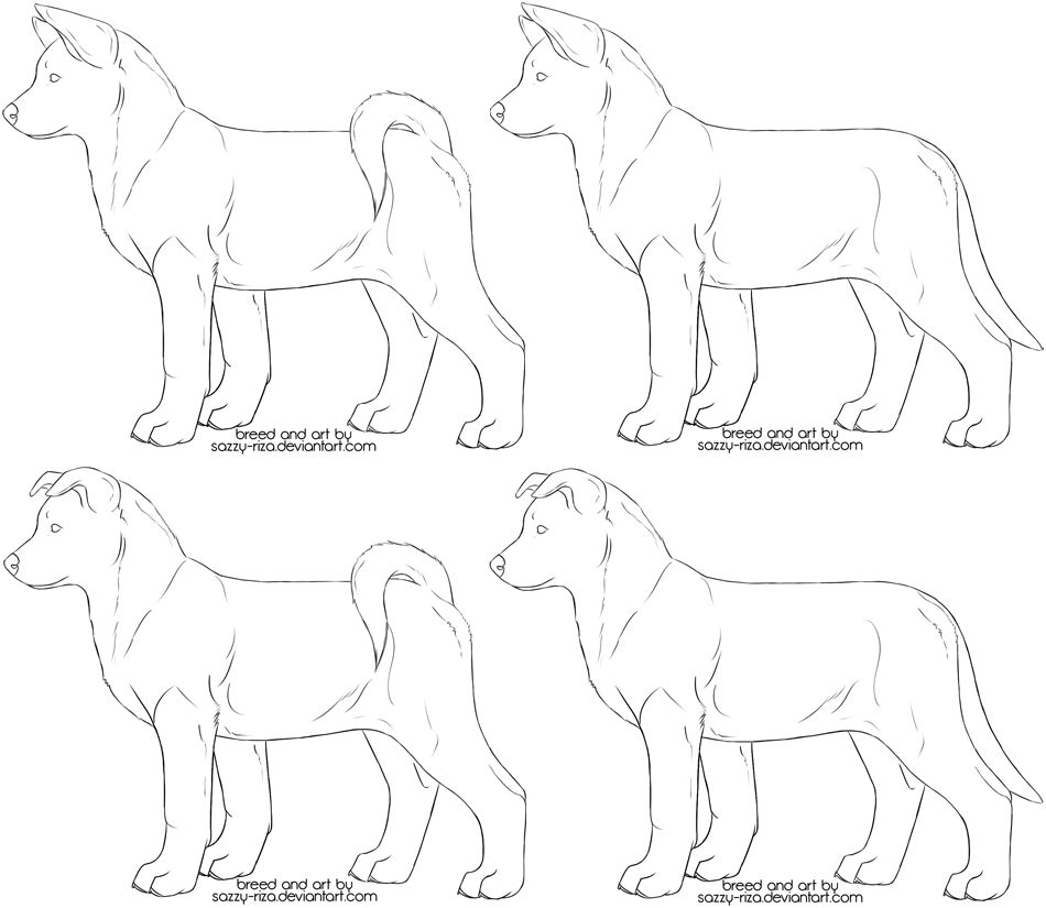 NAS Puppy Lines by sazzy-riza on DeviantArt