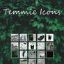 Temmie Icons