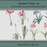 PNG PACK#6 - Plant