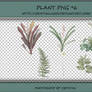 PNG PACK#7 - Plant