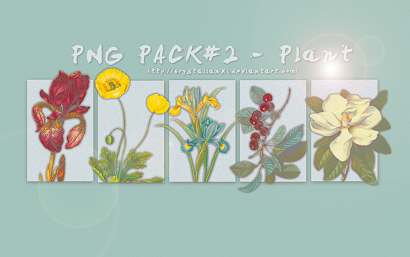 PNG PACK#2 - Plant