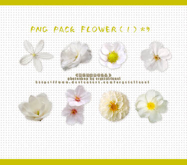 PNG PACK FLOWER 9