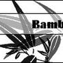 Bamboo Brush