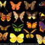 16 Butterflies .psd Stock