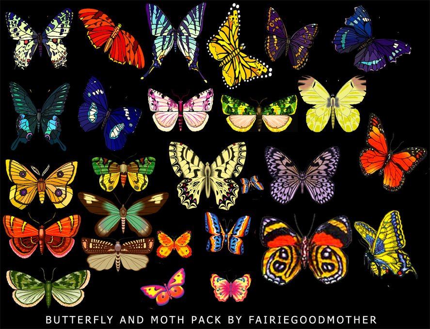 Butterfly and Moth Stock Pack