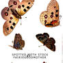Spotted Moth Butterfly stock