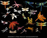 Dragonfly Stock Pack by FairieGoodMother