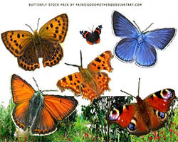 Butterfly Stock