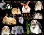 Bunny Rabbit Stock Pack by FairieGoodMother