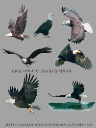 Flying Eagles psd