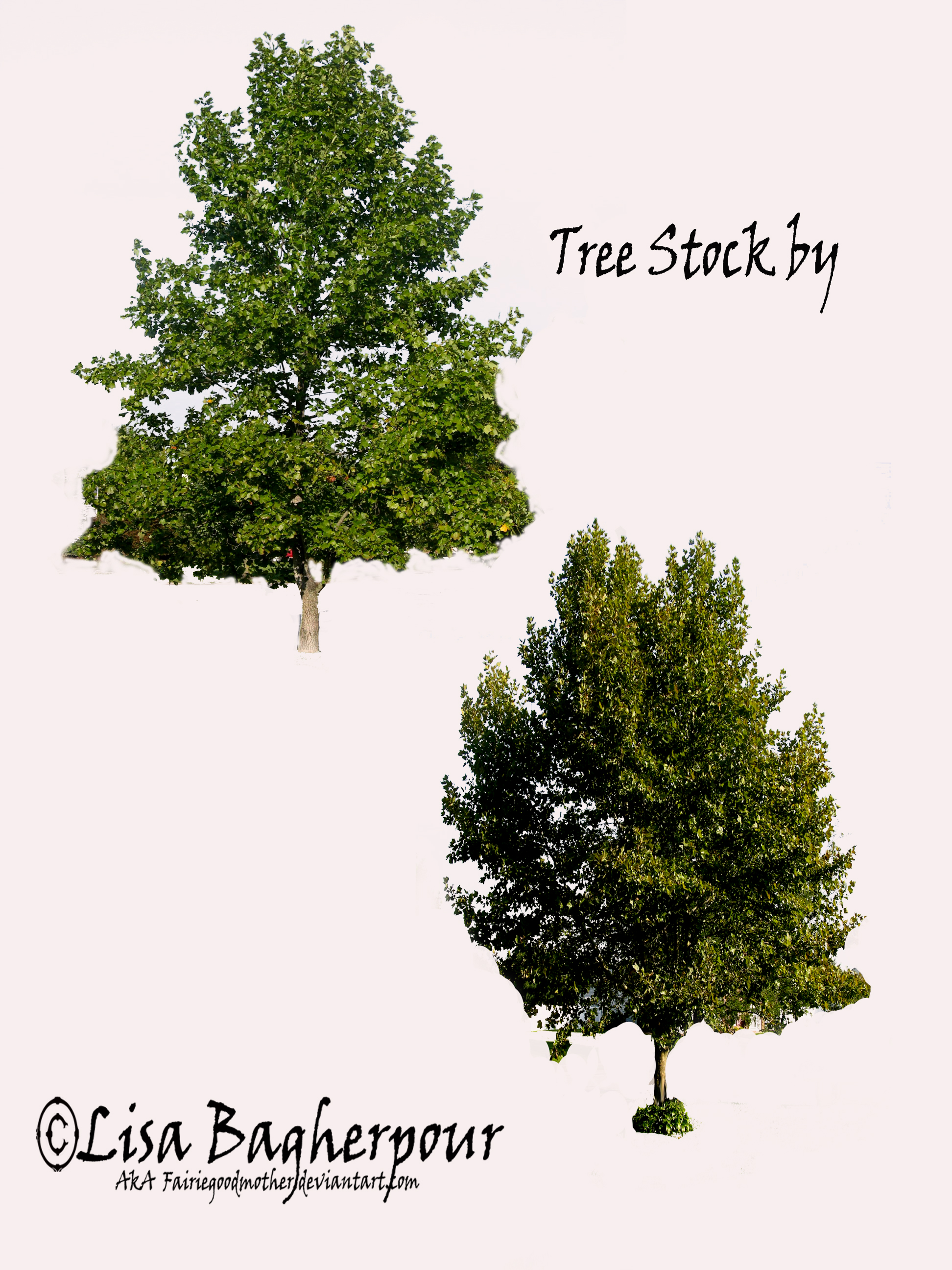 Tree Stock 2 pack PSD by FairieGoodMother on DeviantArt