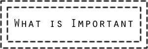 Wht Is Important What is Important by Krash1111 on DeviantArt