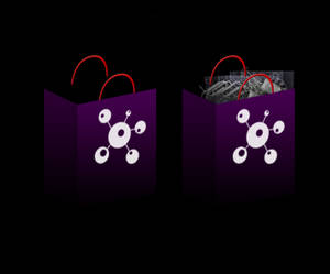 Shopping Bag Icon