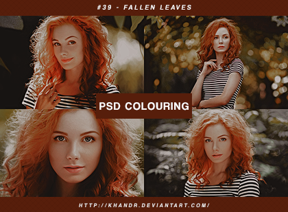 PSD #39 - Fallen Leaves