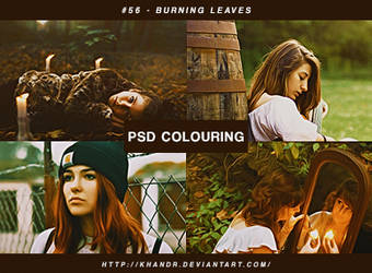 PSD #56 - Burning Leaves