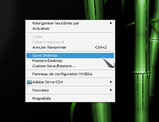 Save Desktop Icone