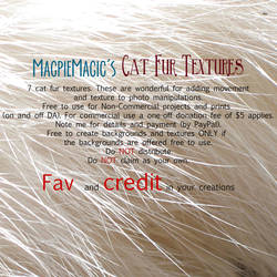 MM Cat Fur Texture Pack