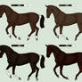 Thoroughbred Sales ~ CLOSED