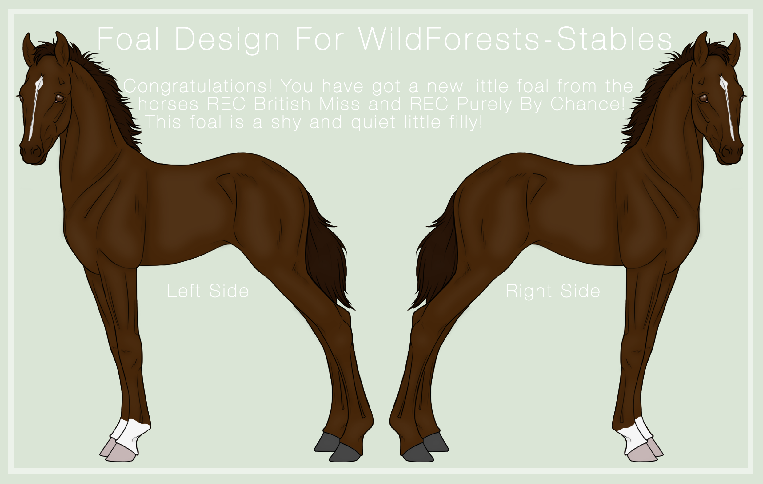 Foal Design For WildForests-Stables