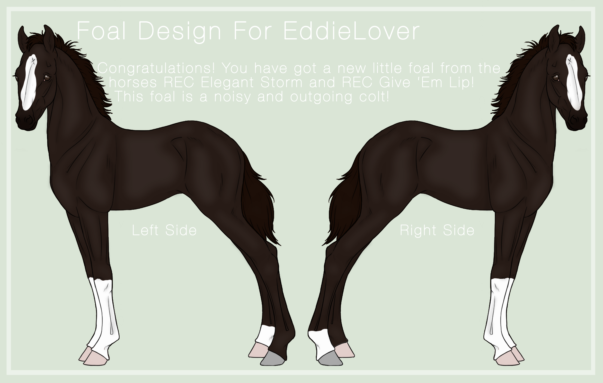 Foal Design For EddieLover