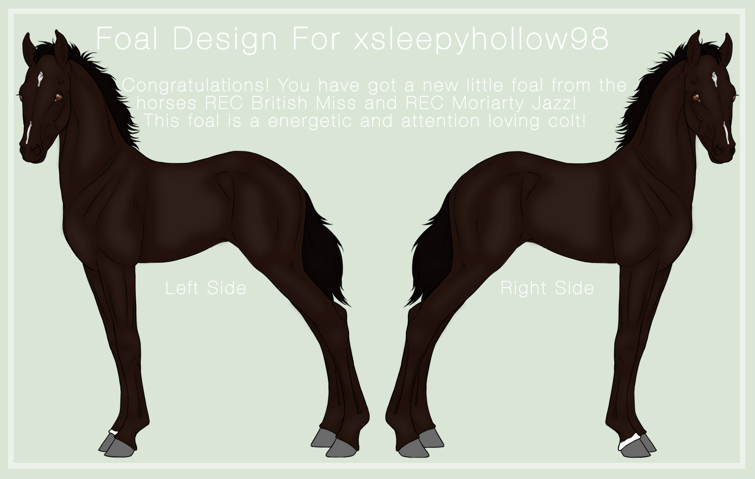 Foal Design For xsleepyhollow98