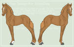 Foal Design For ShowDiva