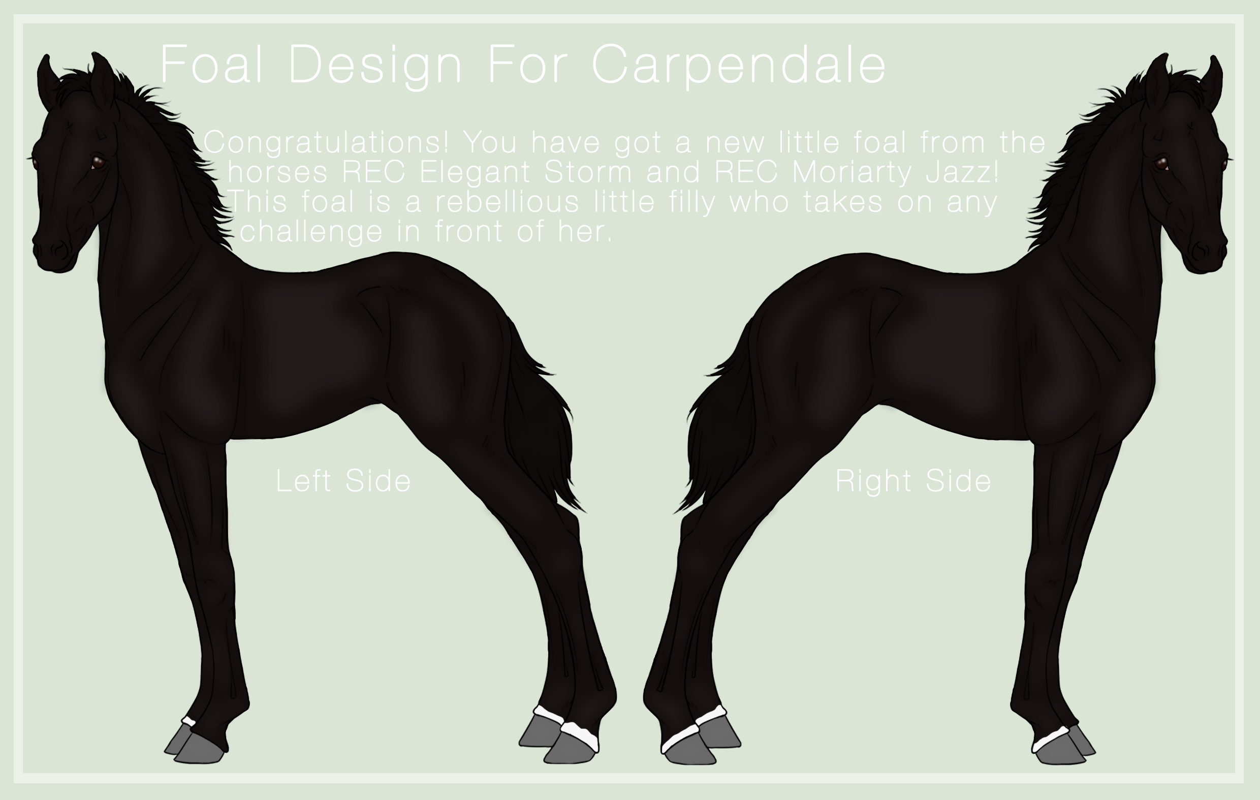 Foal DesignFor Carpendale