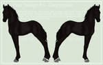 Foal DesignFor Carpendale